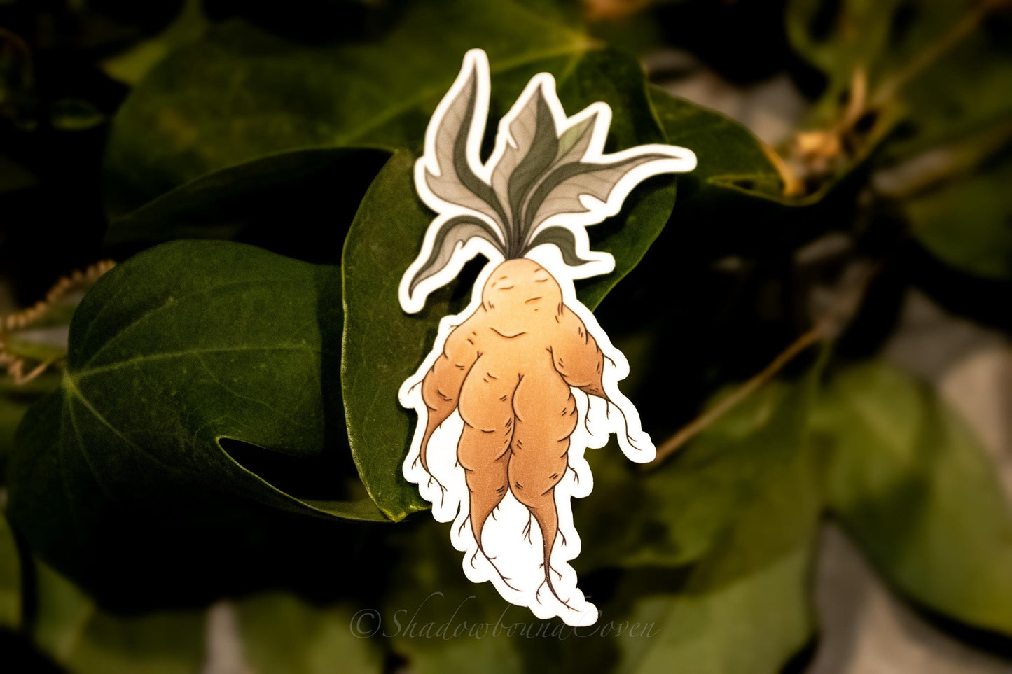 Mandrake - Waterproof Vinyl Sticker