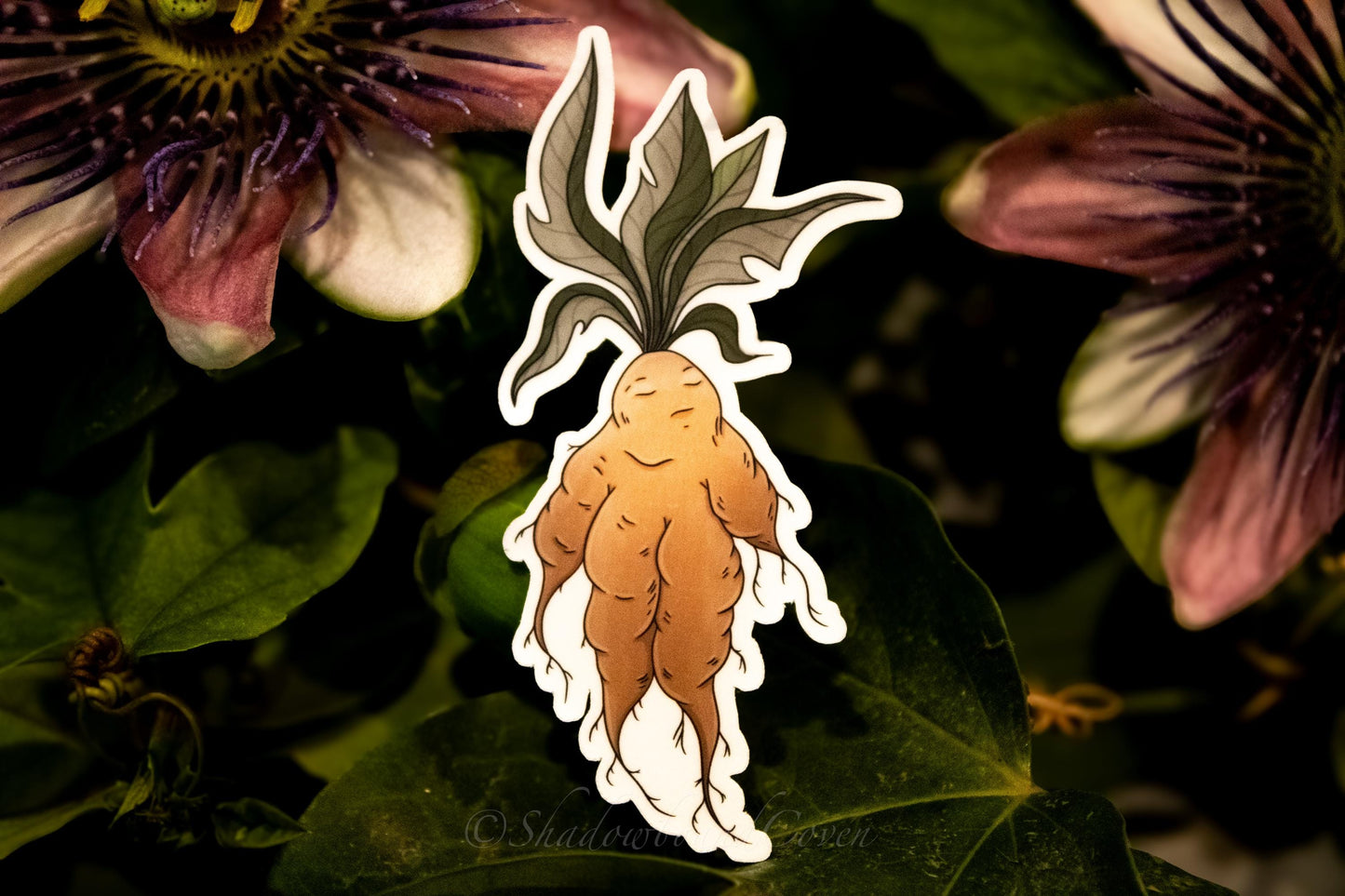 Mandrake - Waterproof Vinyl Sticker