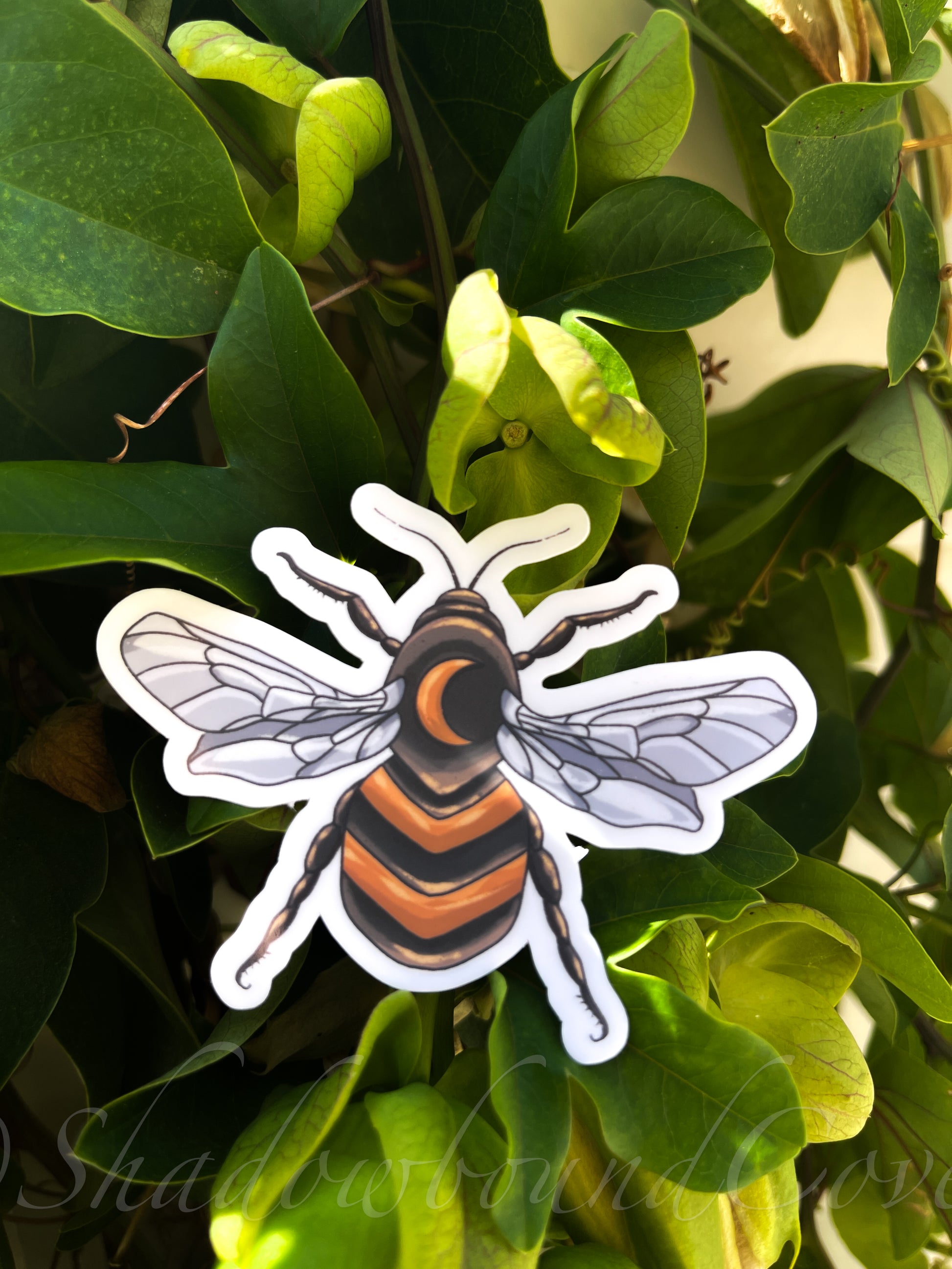 Celestial Bee- Waterproof vinyl sticker/decal - Shadowbound Coven