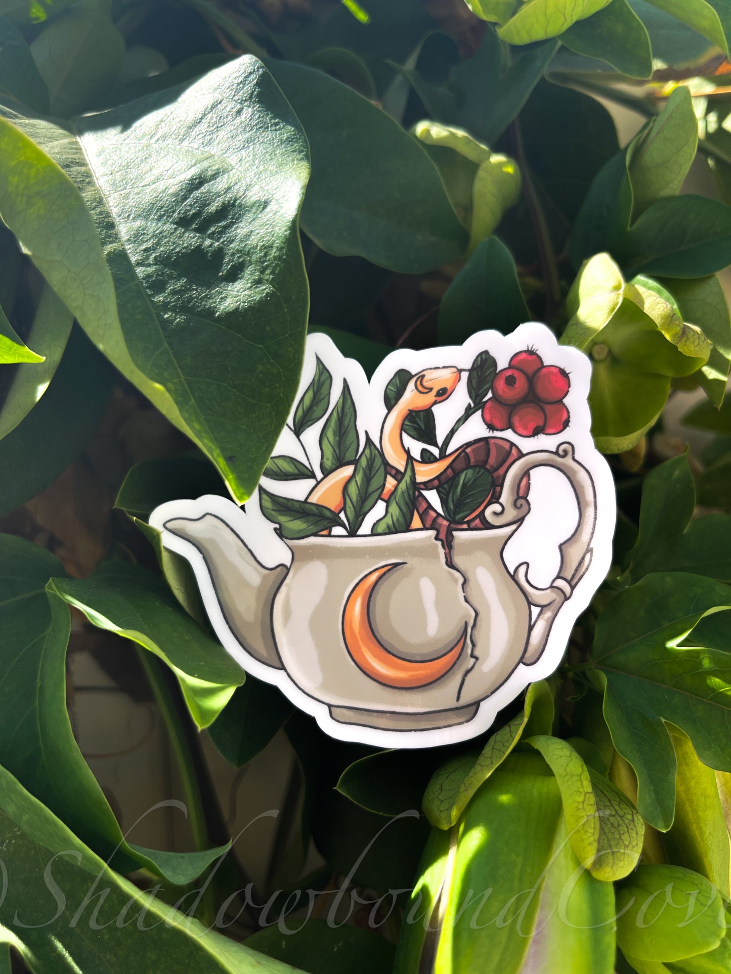 Celestial Floral Tea Snake - Waterproof vinyl sticker/decal - Shadowbound Coven