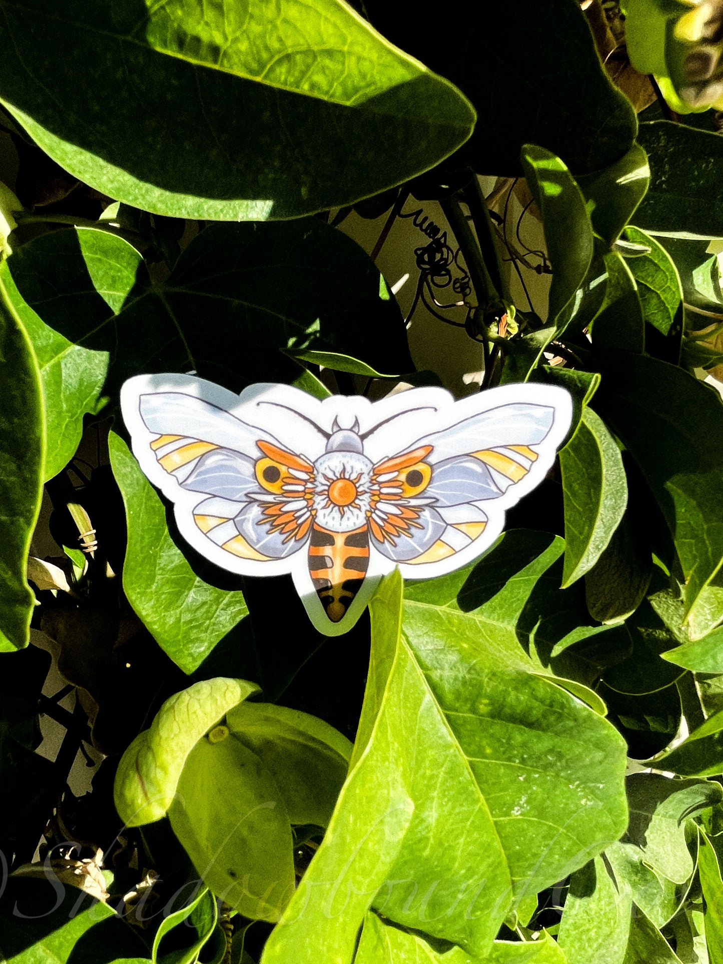 Celestial Moth - Waterproof vinyl sticker/decal