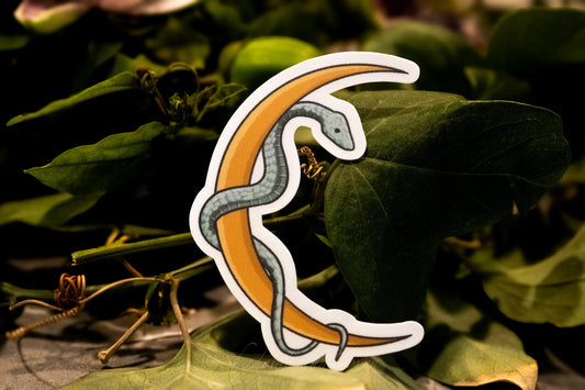 Cresent Moon with snake -  Waterproof Vinyl Sticker